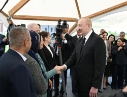\"Bu torpaqları canlandırmaq üçün bəlkə də 5-10 il vaxt lazımdır\"