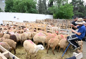 Qurbanlıq heyvanların satış və kəsim ünvanları - SİYAHI