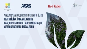 Azərbaycan Biznesinin İnkişafı Fondu Almaniya şirkətləri ilə əməkdaşlığa başladı