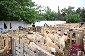Bayramı öncəsi heyvan bazarında QİYMƏTLƏR