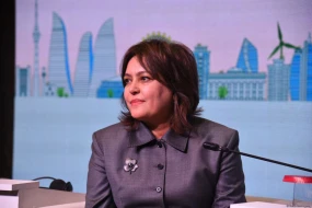 \"Azərbaycan müxtəlif ekoloji problemlərlə üzləşib\" - Umayra Tağıyeva