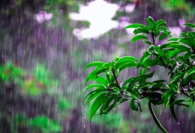 Temperatur 3-6 dərəcə enəcək - XƏBƏRDARLIQ
