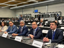 AHİK sədri Sahib Məmmədov Beynəlxalq Əmək Konfransının 114-cü sessiyasında çıxış etdi - FOTOLAR