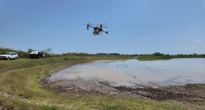 Dronla “Zəfər44” yerli çəltik toxum səpinin həyata keçirildi - FOTOLAR