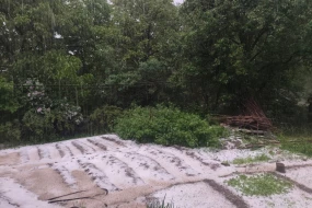 Şahbuza dolu yağdı - FOTO