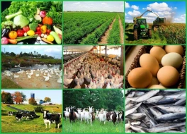 Azərbaycanda aqrar sektorun inkişafı yolları müzakirə olunur - Regional görüşlər başladı