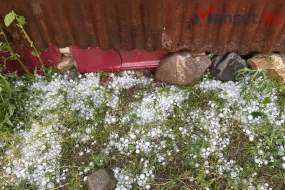 Qazaxa yumurta boyda dolu yağdı - FOTOLAR
