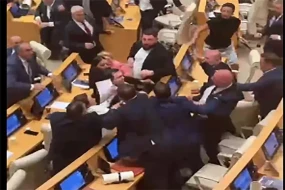 Gürcüstan parlamentinin iclasında dava düşdü - VİDEO