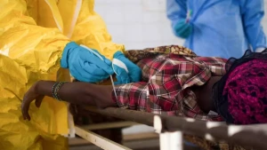 Afrikada vəba epidemiyası - 14 ölkəyə yayıldı