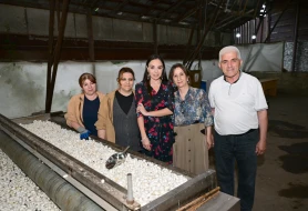 Leyla Əliyeva “Azəripək” ASC-də olub - FOTOLAR