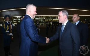 Pelleqrini təyyarə ilə Füzulidən Bakıya uçub&nbsp;- FOTOLAR