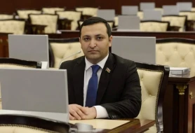Sabiq deputata Naxçıvanda yeni vəzifə verildi