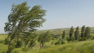 Hava ilə bağlı XƏBƏRDARLIQ