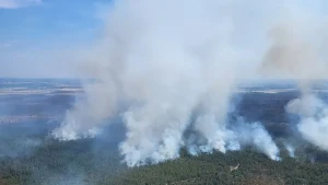Almaniyada 2 min nəfər təxliyə olundu