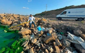 Böyükşor gölünün yaşıla bürünməsinin səbəbi AÇIQLANDI