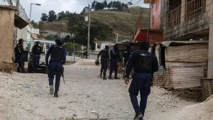 Quldur dəstəsinin hücumu 43 nəfərin ölümü ilə nəticələndi