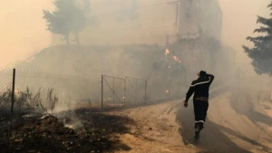 Dəhşətli meşə yanğınlarında&nbsp;12 nəfər həlak oldu, 54 nəfər yaralandı