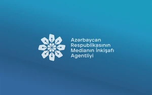 “Həmin sayt Media Reyestrində yoxdur, fəaliyyəti qanunsuzdur”
