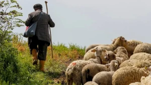 Çobanın güllələnmiş meyiti tapıldı