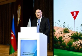 \"Atəş səsləri kəsilsə də, minalar susmayıb\" - Elçin Əmirbəyov&nbsp;