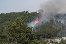 Bursada meşə yanğını başladı