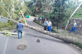 Güclü külək bu bölgələrdə fəsadlar yaratdı - FOTO
