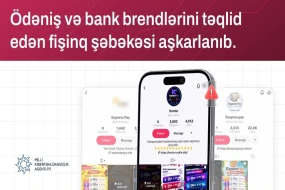 Ödəniş və bank brendlərini təqlid edən fişinq şəbəkəsi aşkarlandı