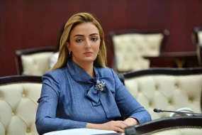 “İşğaldan azad edilmiş ərazilərdə təbii ehtiyatların istismarı yeni iqtisadi imkanlar açır”&nbsp;&nbsp;