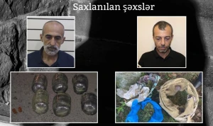 Lənkəranda 17 kiloqramdan artıq narkotik vasitə aşkarlandı