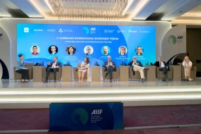 “Kritik xammal və qlobal iqtisadi təhlükəsizlik” mövzusunda panel sessiya keçirildi - FOTOLAR