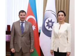 Ombudsman BMT-nin ölkəmizdəki yeni rezident əlaqələndiricisini qəbul etdi&nbsp;&nbsp;