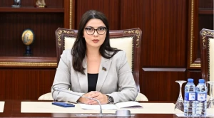 \"Yad təsirlərin cəmiyyətimizdə parçalanma yaratmasına imkan verməməliyik \" - Səbinə Salmanova