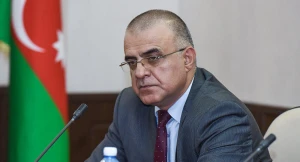 “Strateji müttəfiqlik siyasi itaət mexanizmi deyil” - Elçin Mirzəbəyli