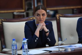“Azərbaycanın siyasətinə müdaxilə yolverilməzdir” - DEPUTAT