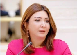 Aynur Camal Mətbuat Şurası üzvlüyünə namizədlər siyahısına düşə bilmədi