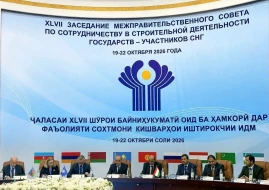 Azərbaycan MDB-nin iclasında iştirak etdi - FOTOLAR