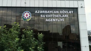 \"İri Şəhərlərin Su Təchizatı\"na yeni icraçı direktor təyin edildi