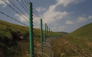 Azərbaycan sərhədini pozan yeniyetmə həbs olundu&nbsp;
