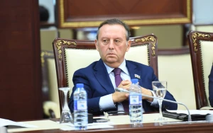 “Bu, ölkəmizin daxili işlərinə qarışmaqdır” - Deputat