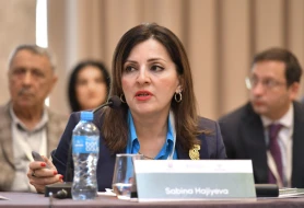 “ “Azərbaycan Mədəniyyəti – 2040” Konsepsiyası  uzunmüddətli hədəfləri müəyyən edir” - Səbinə Hacıyeva