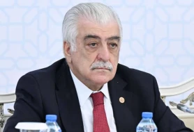 \"Türk dilli ölkələrin birliyi çoxlarını qorxuya salır\" - Şamil Ayrım